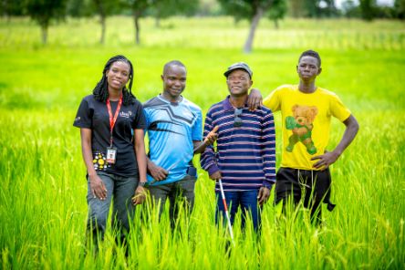 Four people standing in last green rice field.