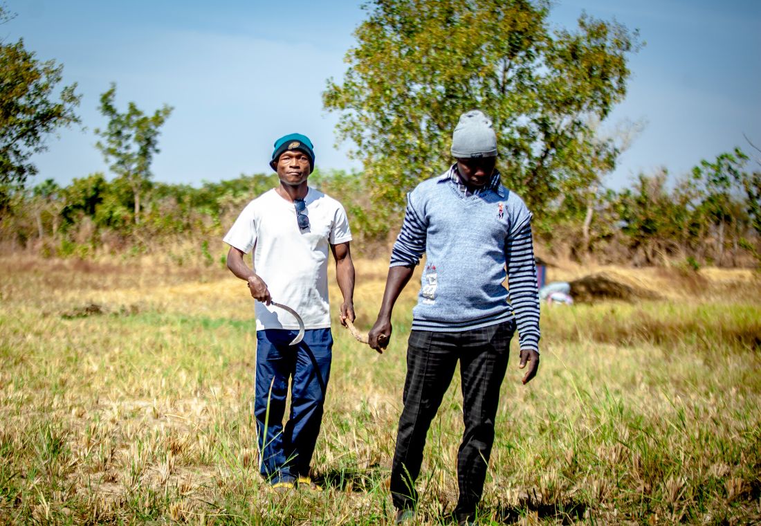 A blind man being guided through a dry field. 